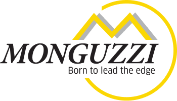 https://monguzzi.codeforce.it/wp-content/uploads/2024/07/monguzzi-logo-dark.png